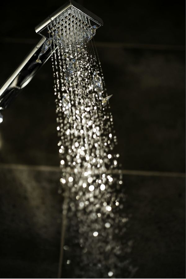Pomme de douche moderne